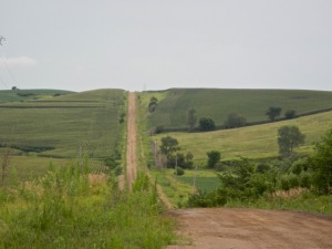 DSCN5798