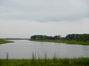 DSCN5814
