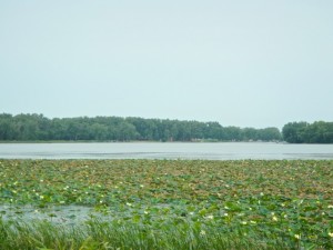 DSCN5826