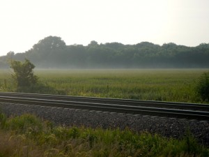 DSCN5958