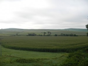 DSCN5970