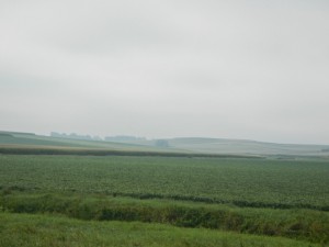 DSCN5974