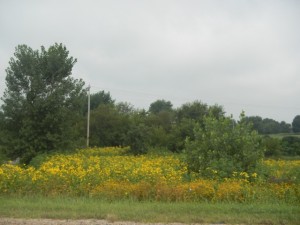 DSCN6060