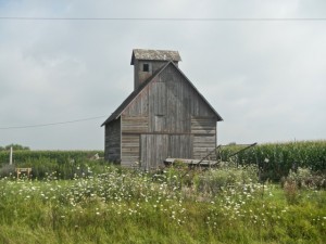 DSCN6069