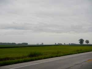 DSCN6123