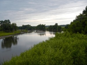 DSCN6167