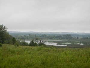 DSCN6195