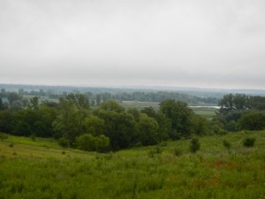 DSCN6196