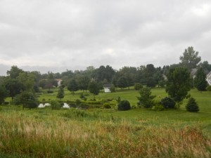 DSCN6227