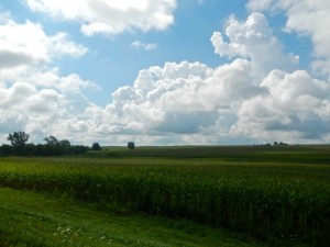 DSCN6252