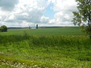 DSCN6256