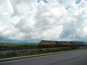 DSCN6273