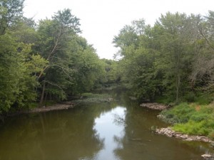 DSCN6552
