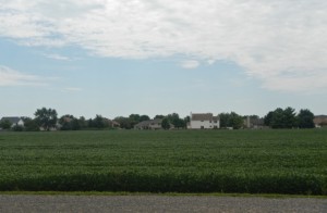 DSCN6559