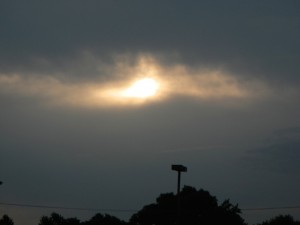 DSCN6564