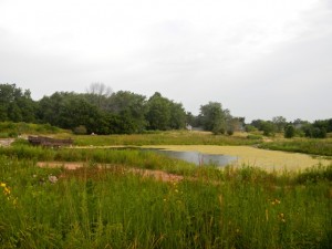 DSCN6590