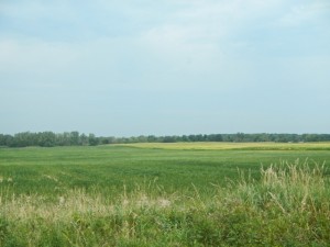 DSCN6612