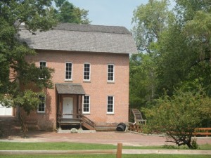 DSCN6617