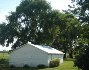 DSCN6641