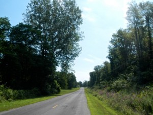 DSCN6651
