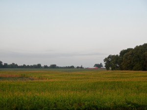 DSCN6708
