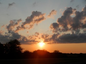 DSCN6709