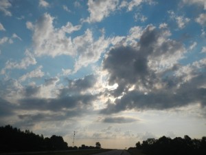 DSCN6716