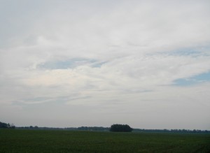 DSCN6807