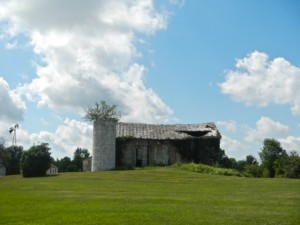 DSCN7023