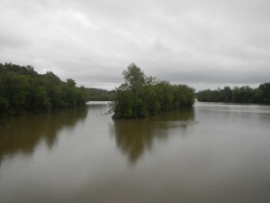 DSCN7033