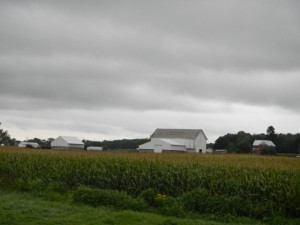 DSCN7045
