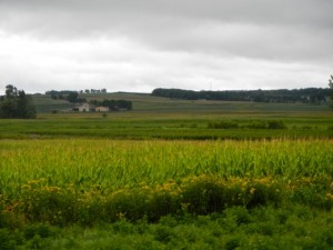 DSCN7048