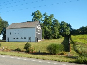 DSCN7173