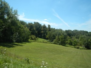 DSCN7224