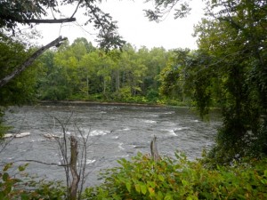 DSCN7487