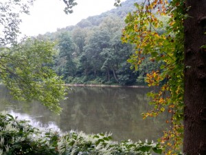 DSCN7513