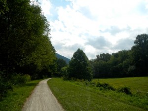 DSCN7559