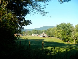 DSCN7785