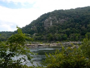 DSCN7976