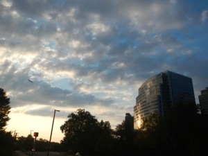 DSCN8125