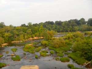 DSCN8204