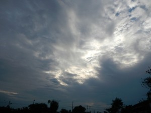 DSCN8225
