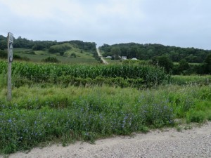 IMG_0868