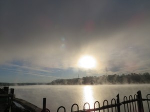 IMG_1231