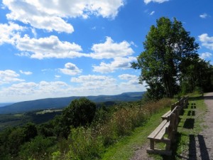 IMG_1373