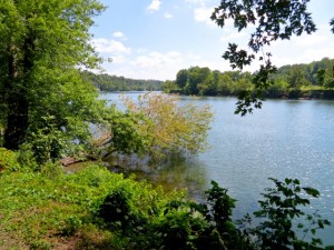 IMG_1465
