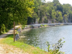 IMG_1482
