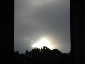 DSCN8248
