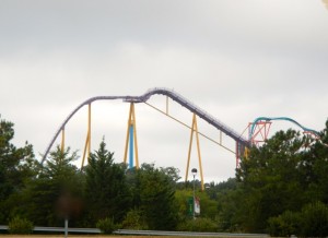 DSCN8269
