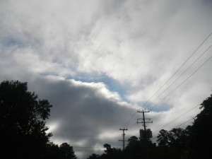 DSCN8272